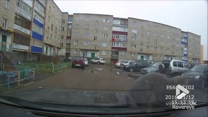 Ce chat ne bougera pas du capot de la voiture... Petit tour gratos