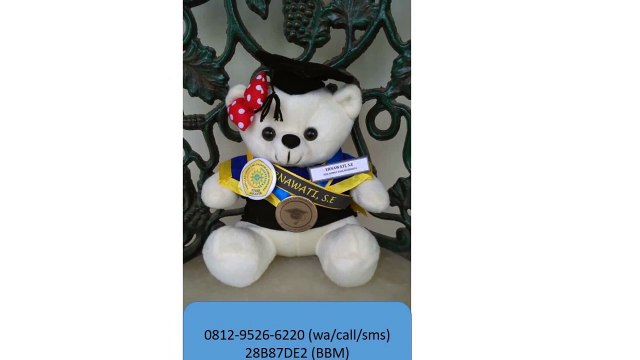 0812-9526-6220 - Boneka wisuda Semarang - Grosir Boneka wisuda - Pusat boneka wisuda