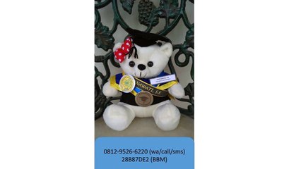 0812-9526-6220 - Boneka wisuda Jakarta - Grosir Boneka wisuda - Pusat boneka wisuda