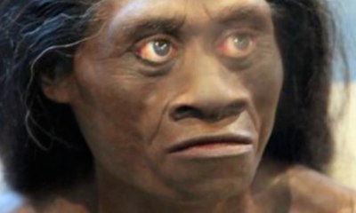 Kata Gubernur Aceh Soal Suku Mante