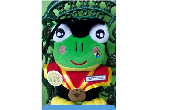 0812-9526-6220 - Boneka wisuda Binjai - Grosir Boneka wisuda - Pusat boneka wisuda