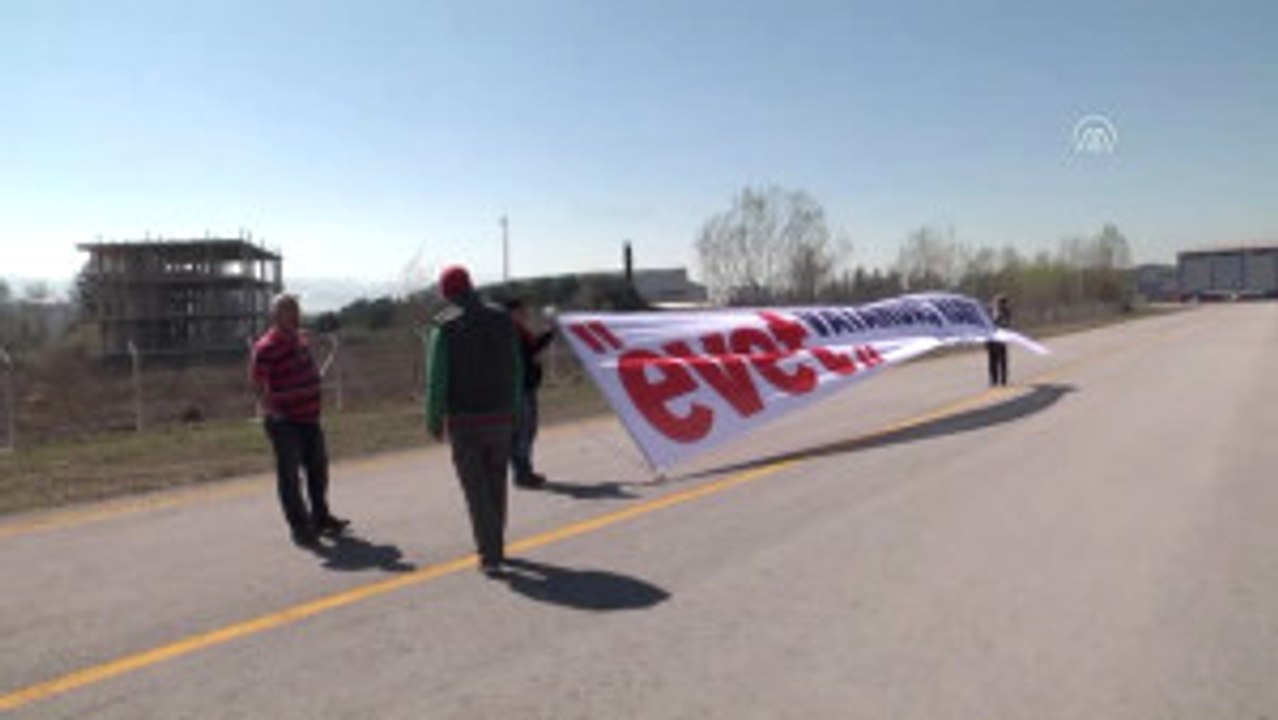 Vatandaş Hamit'ten Semada "Evet" - Samsun