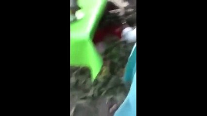 Shocking video of Strawberry getting spray painted to make it look fresh