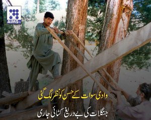 وادی سوات کے حسن کو نظر لگ گئی