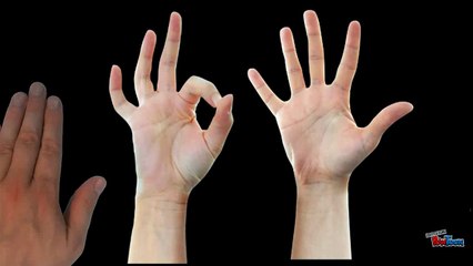 La durée du travail-Section Transport JDA