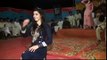 Meda Yaar Lamy Da   New Shadi Mujra 2017 By Beautiful Shemale Khusra