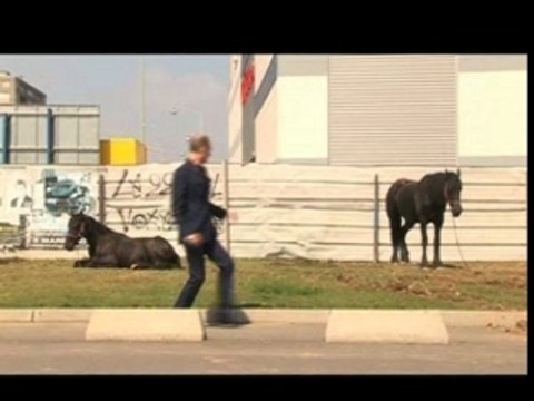 Alain Bouzigues dans Complètement Starbée