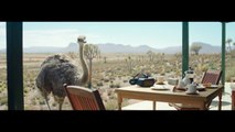 Samsung VR, la pub avec l'autruche