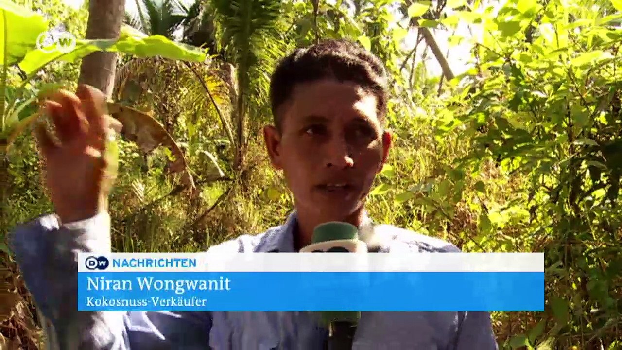 Thailand: Kokosnussernte einfach gemacht | DW Deutsch