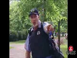 Dog In Diaper Prank Funny Prank 2017