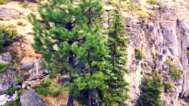 ГЛЯЖУ В ОЗЁРА СИНИЕ - Ольга Павенская