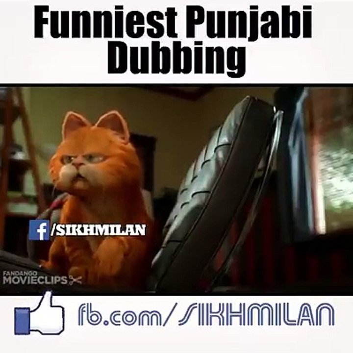 Funny Cat video