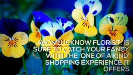 Avon Lucknow florist