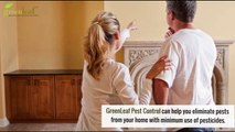Looking For Pest Control Services? - Greenleafpestcontrol.com
