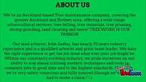 Looking For Best Arborist in New Zealand at low Cost