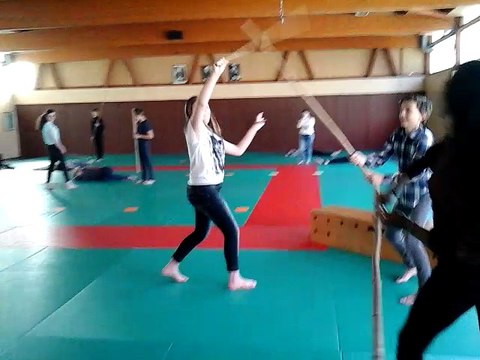 Projet Shakespeare combat de bâtons chorégraphiés