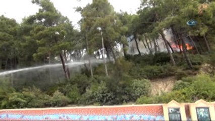Orman Yangını Büyümeden Kontrol Altına Alındı