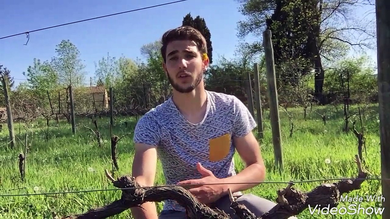 La taille, c'est la vie #VLOG #collection #chateaumongin