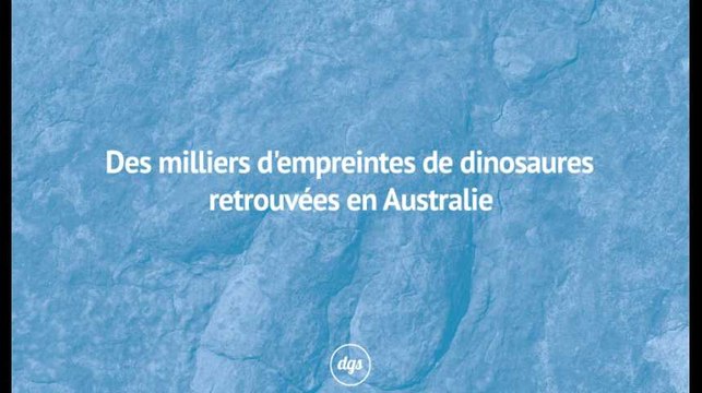 Des milliers d'empreintes de dinosaures retrouvées en Australie