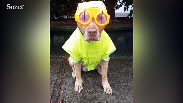 Yağmurlu havada gözlük takmak artık sorun değil!