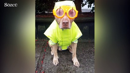 Yağmurlu havada gözlük takmak artık sorun değil!