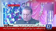 News Wise - 30th March 2017