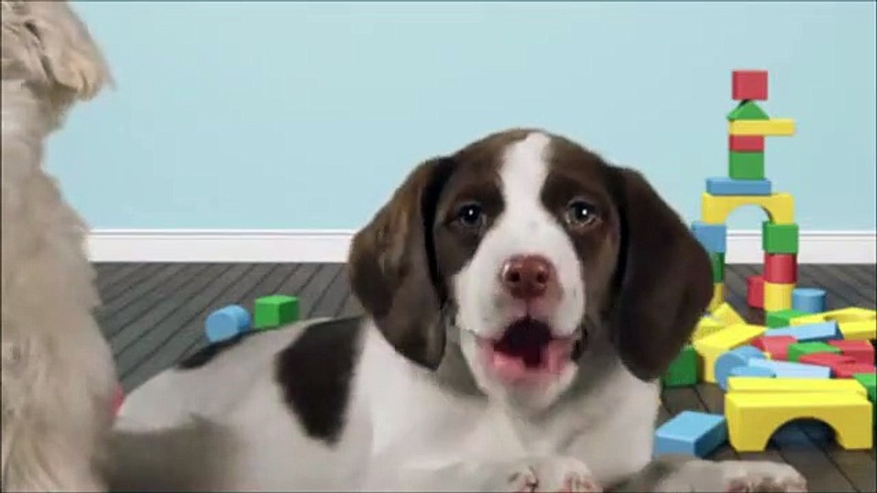 Bon anniversaire Cess !!! 