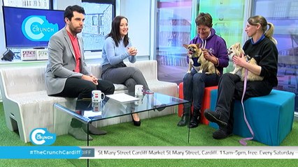 The Crunch Cardiff - 28th March