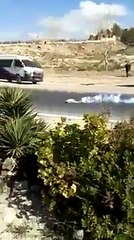 عاجل  ولاية الكاف اليوم تفريق إعتصام بالغاز و الضرب و الشتم  أغلبيته نساء