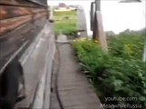 Elle demande au chien de ramener le chat à la maison. Ce qui se produit est presque surréel