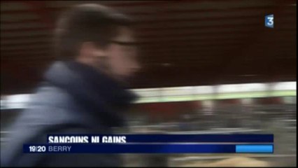 Après l'épidémie de fièvre catarrhale ovine, ambiance au marché au cadran de Sancoins (France 3 Centre)