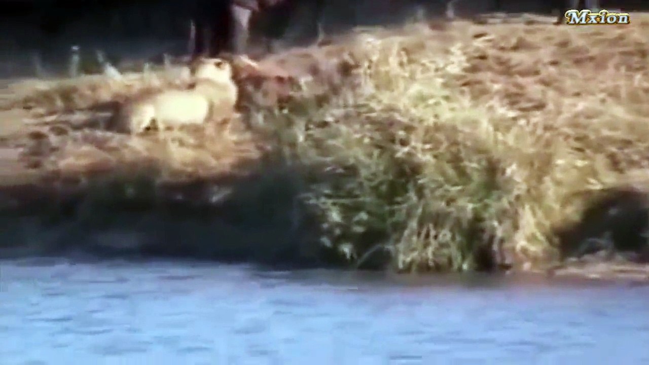 NEMOGUĆE  DA JE OSTALA ZIVA