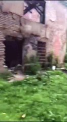 ‫یہ نہ دیکھا تو کچھ نہ دہیکھا ‬