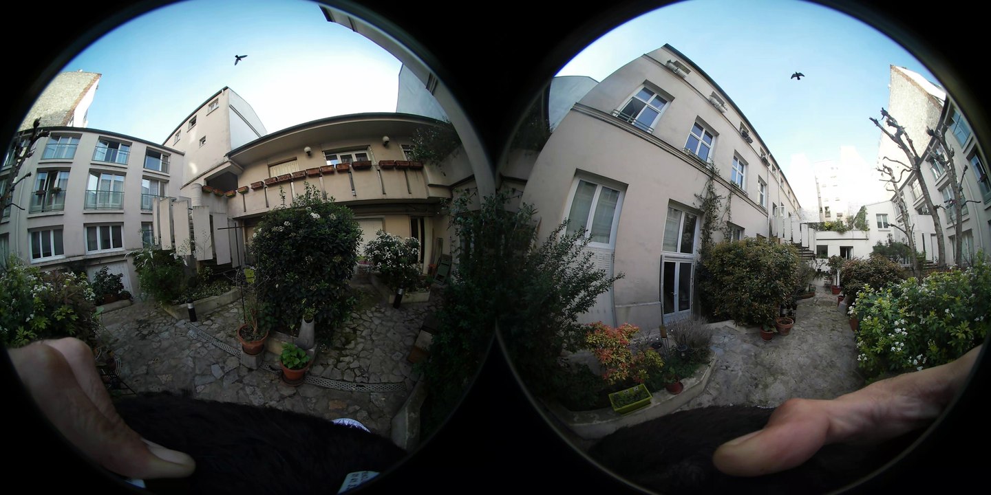 Visite 360° de la cour