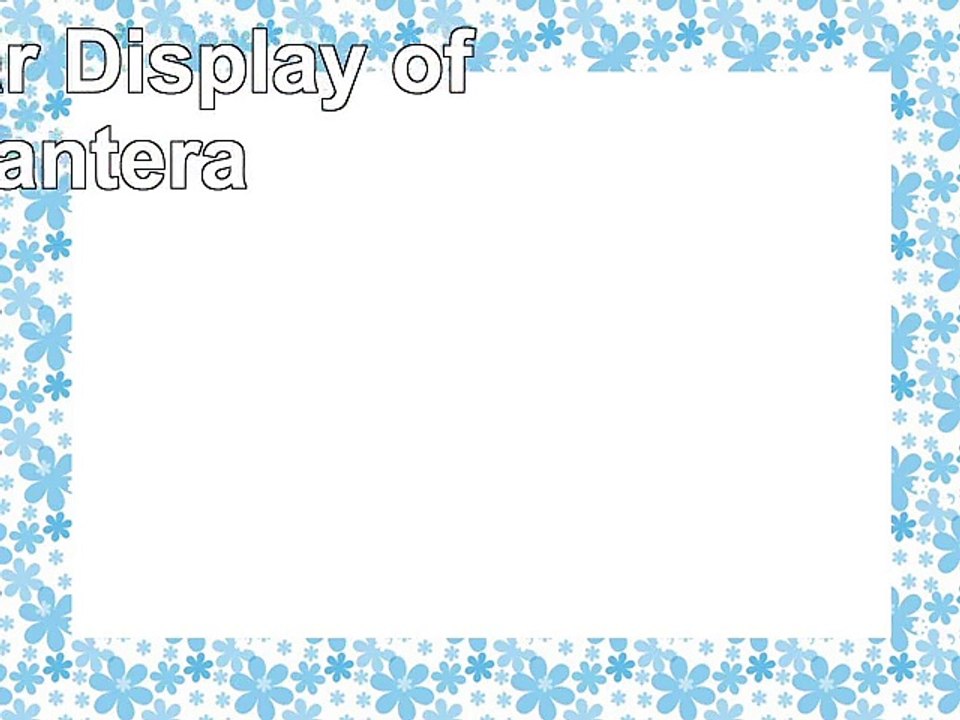 DOWNLOAD  A Vulgar Display of Pantera ReadBook PDF