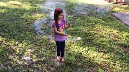HUGE New Years 2017 Fireworks Shin Our Backyard Sparklers M&