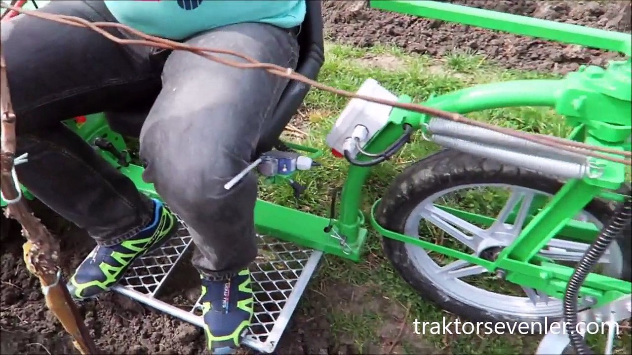 Üzüm yetiştiriciliği yapanlar kesinlikle izlesin