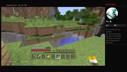 JMRkyloslayer's random minecraft vid (16)