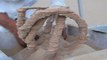 This solar-powered machine transforms desert sand into glass sculptures