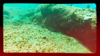 Diving in Manati, Puerto Rico. "Mar Chiquita"
