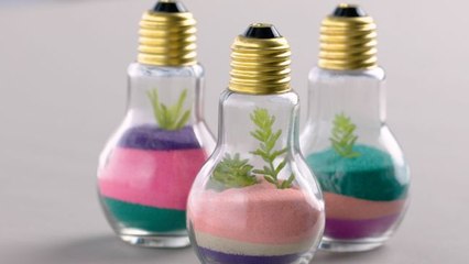 How to Make a Tiny Terrarium in a Light Bulb