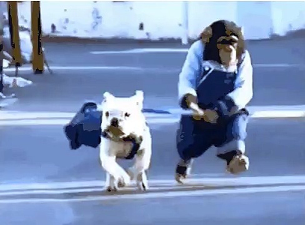 PASSEIO DO MACACO