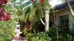 Whispers Treasure Island Florida | Whisper Resorts in Florida ( The Oriental Suite )