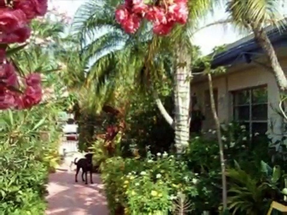 Whispers Treasure Island Florida | Whisper Resorts in Florida ( The Oriental Suite )