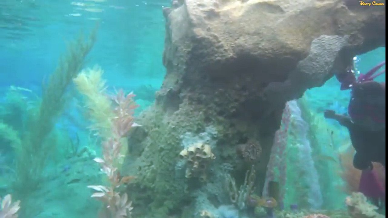 ºoº カリフォルニア ディズニーランド ニモのアトラクション ファインディングニモ サブマリンヴォヤッジ Finding Nemo Submarine Voyage At Disneyland Video Dailymotion