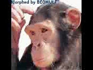 مراحل نمو بوش