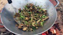 How To Catch And Cook Snails - Fried Snails Hot Spicy Basil Recipe-aWsEO0qyS