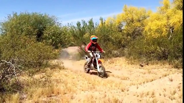 Os melhores videos de 2016 para dar risadas