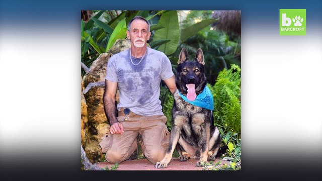 Doggy Day Care: Igor The Dog Adopts Baby Animals