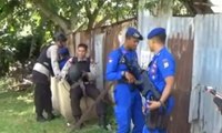 Polisi Selidiki Agen Kapal Perusak Karang Raja Ampat